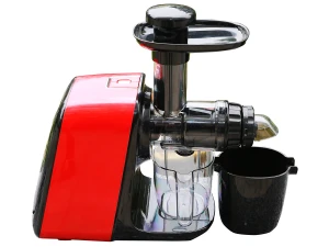 Máy ép chậm trái cây Benny BSJ-251W