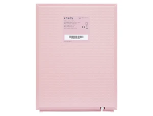 Máy lọc không khí Coway AP-1019C (P)