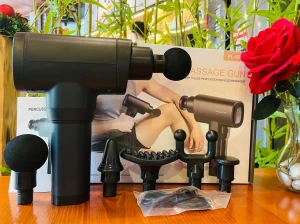 Máy massage cầm tay không dây PL 660DC