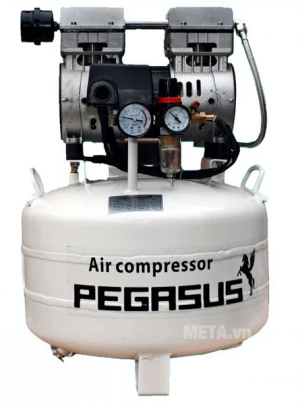 Máy nén khí không dầu Pegasus TM-OF550-40L