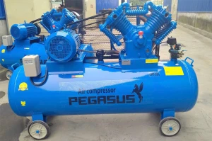 Máy nén khí Pegasus TM-V-1.05/12.5 (500 lít)