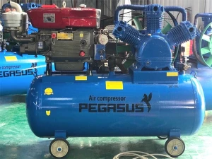 Máy nén khí sử dụng dầu diesel Pegasus TM-W-2.0/8