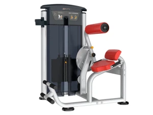 Máy tập lưng Impulse IT9532