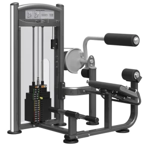 Máy tập sống lưng Impulse IT9332