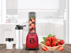 Máy xay sinh tố Rapido RB-300M