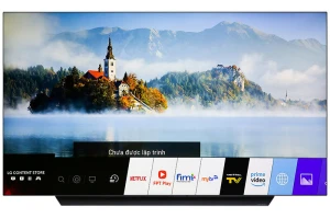 Smart Tivi OLED LG 4K 65 inch 65C9PTA