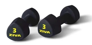 Tạ tay ZVO-PUTB-1715 (bộ 20 tạ 1 - 10kg)