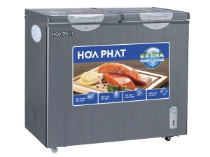 Tủ đông Hòa Phát 2 ngăn 2 cánh HPF BD6205G