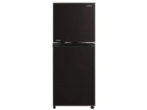 Tủ lạnh 2 cửa Inverter Coex RT-4003BS - 196 lít