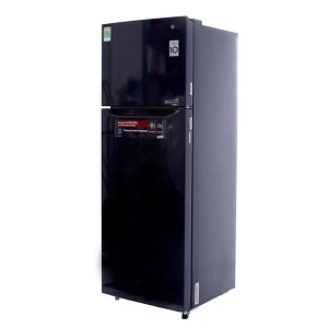 Tủ lạnh LG inverter GN-L315PN 315 lít