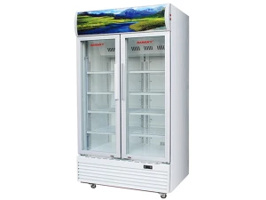 Tủ mát Sanaky Inverter 1.000 lít VH-1009HP3
