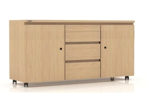 Tủ phụ đựng tài liệu TP1