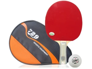 Vợt bóng bàn 729-1060