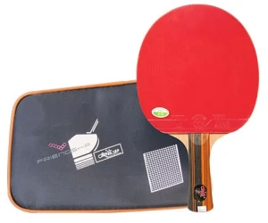 Vợt bóng bàn 729 6035