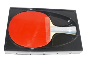 Vợt bóng bàn mút DHS-6002