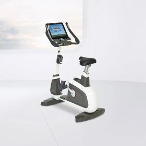 Xe đạp ngồi Hera Hub - 700S (Không có màn hình TV)