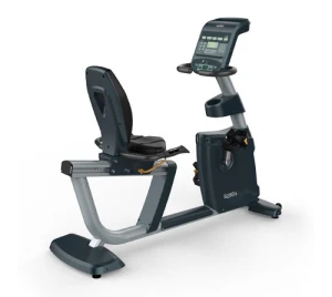 Xe đạp tập Impulse Pro có tựa RR700