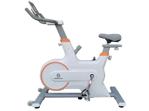 Xe đạp tập thể dục Oreni RE-111