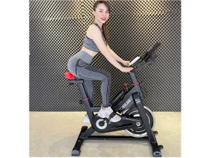 Xe đạp tập thể dục tại nhà Jobur BH 709L