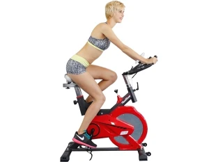 Xe đạp tập thể thao Tiger Sport TG-225