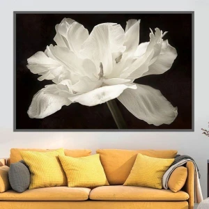 Bộ sưu tập 35 tranh đen trắng ấn tượng nhất