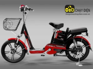 Xe đạp điện Ngọc Hà N6