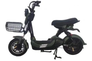 Xe Đạp Điện TABAO Nhập Khẩu Nguyên Hộp (4 Ắc Quy 20Ah)