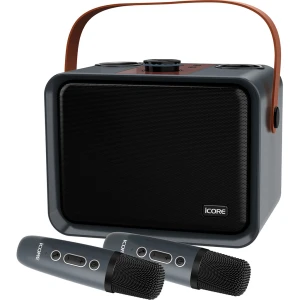 Bộ loa karaoke Icore ISM09