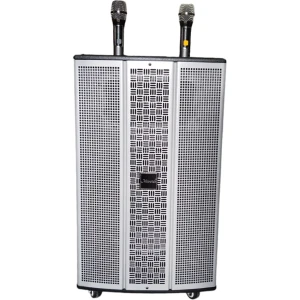Loa karaoke di động Microtek MTK-650A