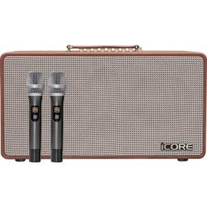 Loa karaoke xách tay iCore S8