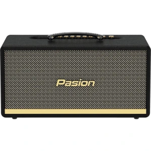 Loa xách tay Paramax Pasion 2