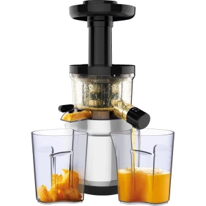 Máy ép chậm Tefal ZC420E38