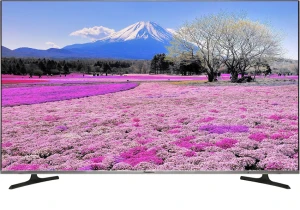 TIVI PANASONIC 55 INCH TH-55FX650V
