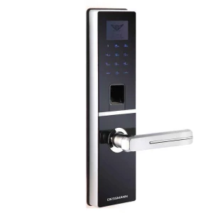 Khóa cửa vân tay Dessmann G800FP