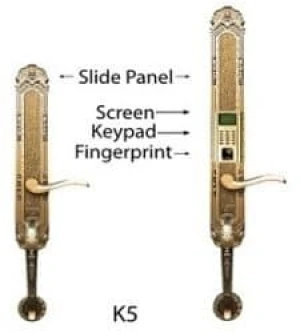 Khóa cửa vân tay Dessmann K5