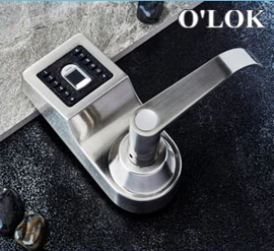 Khóa cửa vân tay OLOK H2200