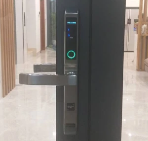 Khóa cửa vân tay O'Lok H2910 an toàn, tiện lợi