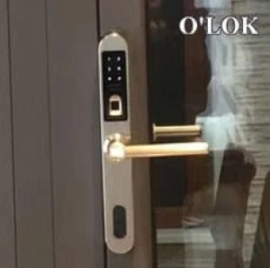 Khóa vân tay cửa nhôm O LOK H2900