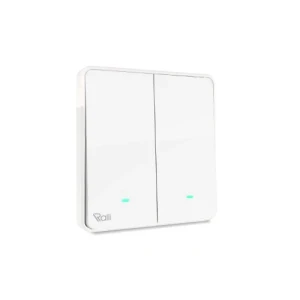 Công tắc cơ điện tử 2 chiều CTC2C.WF V1.02 (Ralli)