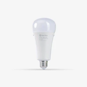 Đèn LED BULB lưu điện 9W A80.KC Rạng Đông