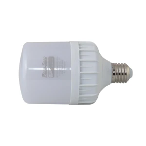 Đèn led bulb Rạng Đông TR100N1 30W