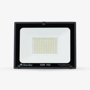 Đèn LED Chiếu pha CP10 100W 6500K SS