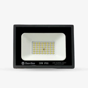 Đèn LED Chiếu pha CP10 30W 6500K SS