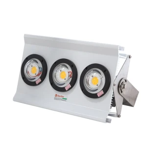 Đèn LED Đánh cá 300W Rạng Đông