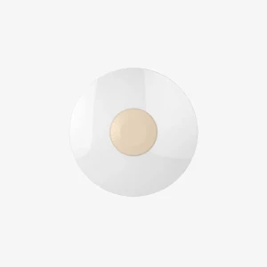 Đèn LED ốp trần đổi màu LN26 360/36W