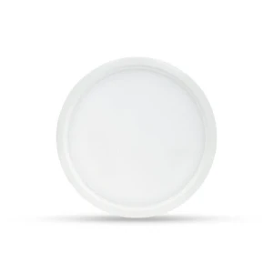 Đèn LED ốp trần LN09 170/15W 6500K