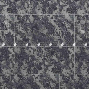 GẠCH ĐỒNG TÂM 2 DA 8080PLATINUM005