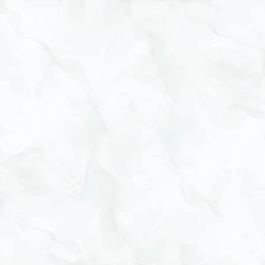 Gạch Granite bóng kiếng toàn phần NY 8882