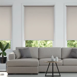 Rèm cuốn văn phòng Winsun W003