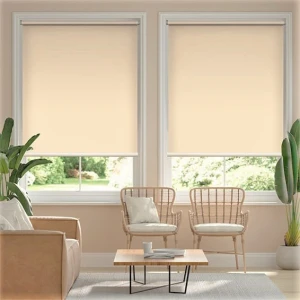 Rèm cuốn văn phòng Winsun W004